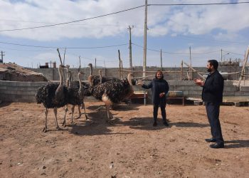 بانوی کارآفرینی که روستای خالی از سکنه را احیا کرد