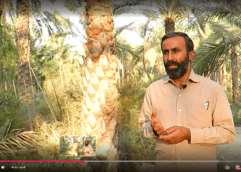 یک رسم از رسالت؛ بوشهر، کانون همیاری اجتماعی روستای نظرآقا