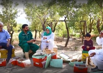 مشق همیاری اجتماعی در ارزانفود همدان