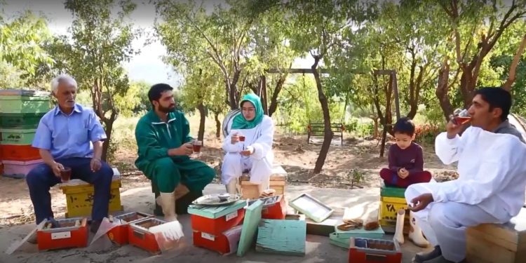 مشق همیاری اجتماعی در ارزانفود همدان