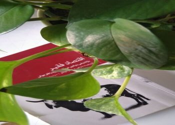 تا وقتی انتظارات تغییر نکند، چرخه فقر ادامه دارد