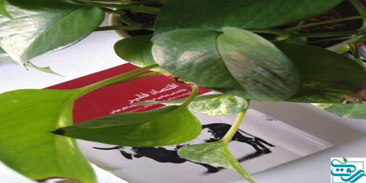 تا وقتی انتظارات تغییر نکند، چرخه فقر ادامه دارد