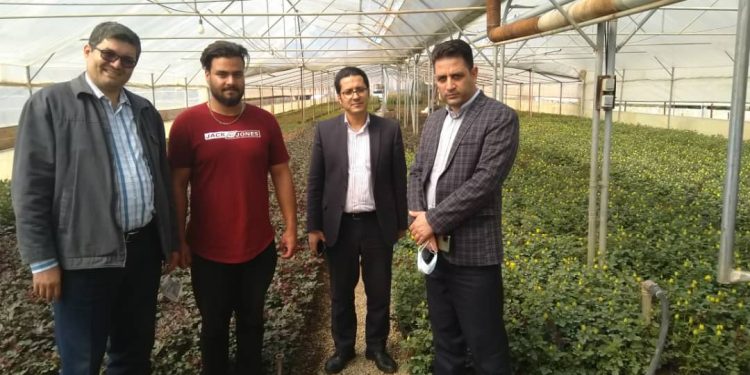 همیاری اجتماعی، رونق و صفای شهر محله‌ها