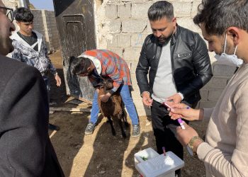 همت جعفر؛ روزی‌رسان پنج روستا شد