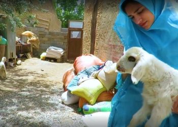 مشق همیاری دهه هشتادی؛ اراده دختر بامِ ایران