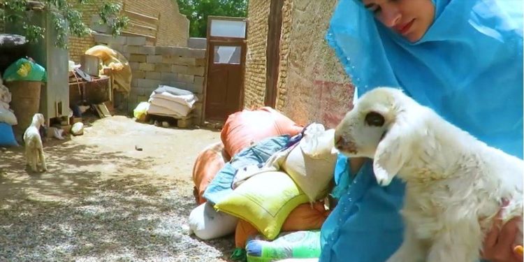 مشق همیاری دهه هشتادی؛ اراده دختر بامِ ایران