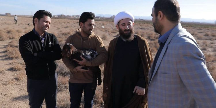 جورچین کارآفرینی اجتماعی در حکم آباد