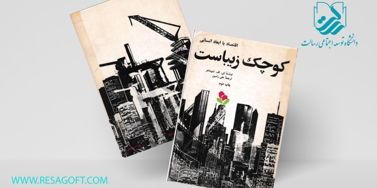 توسعه با ابعاد کوچکمقیاس